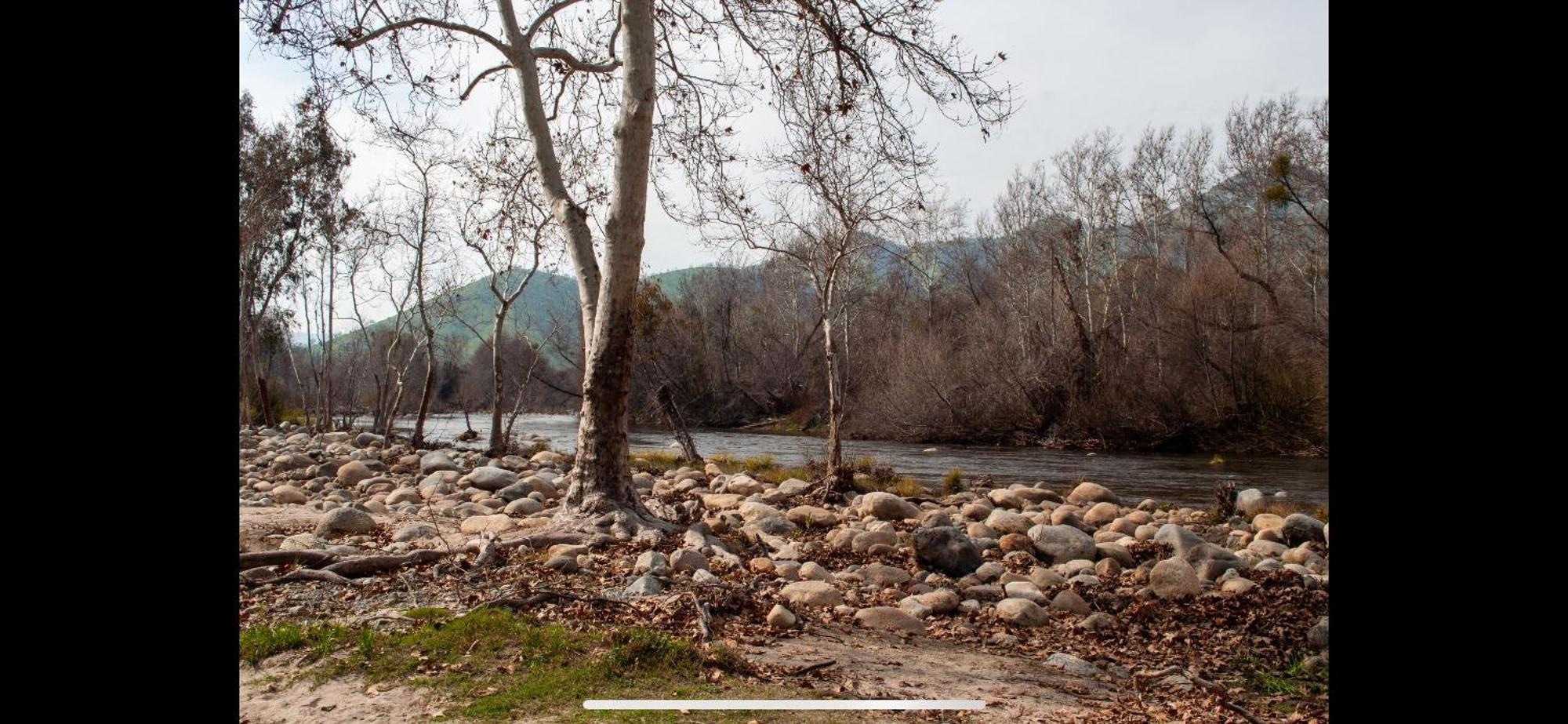Sequoia River Front Cabins Three Rivers Kültér fotó