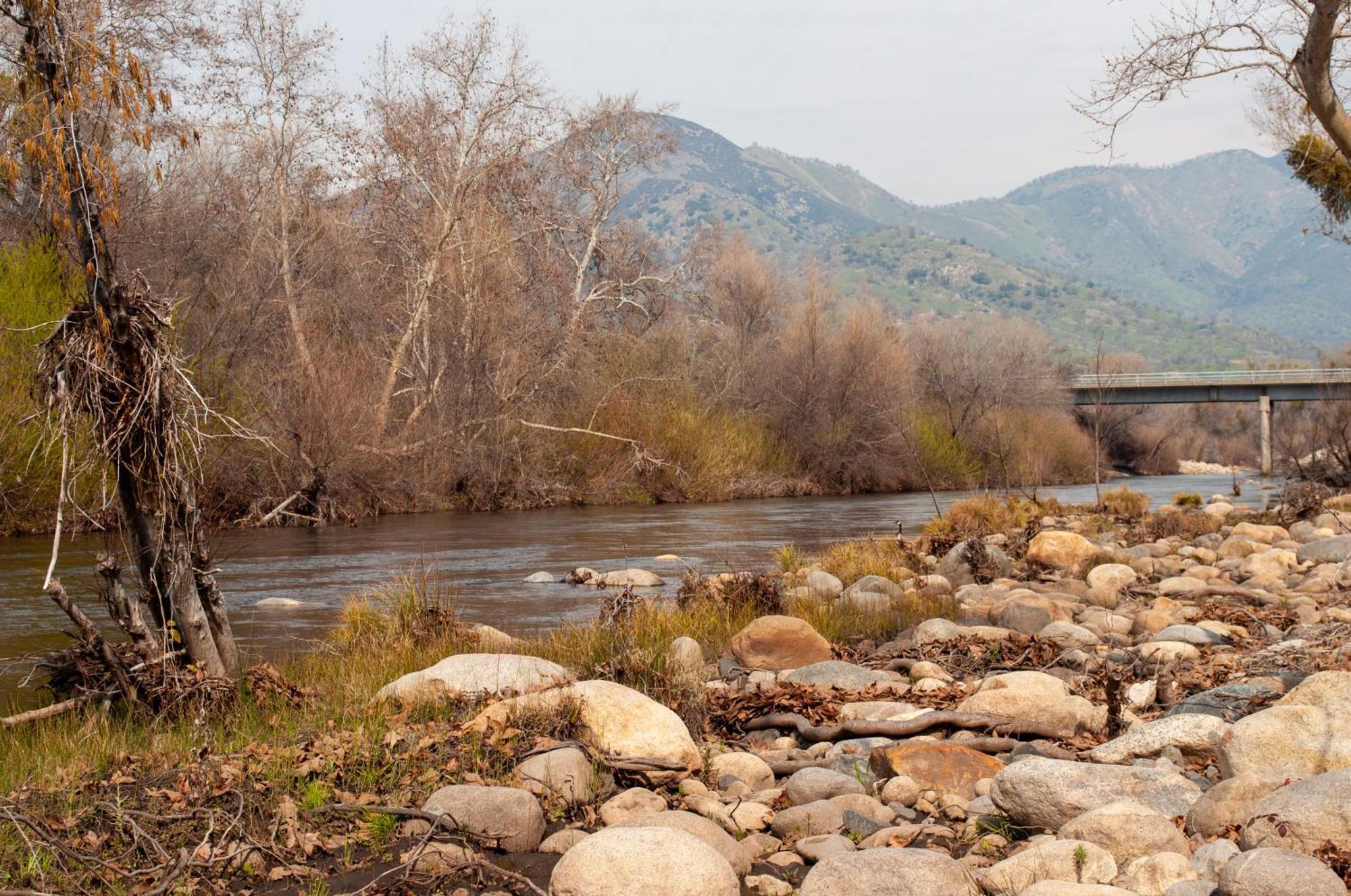 Sequoia River Front Cabins Three Rivers Kültér fotó